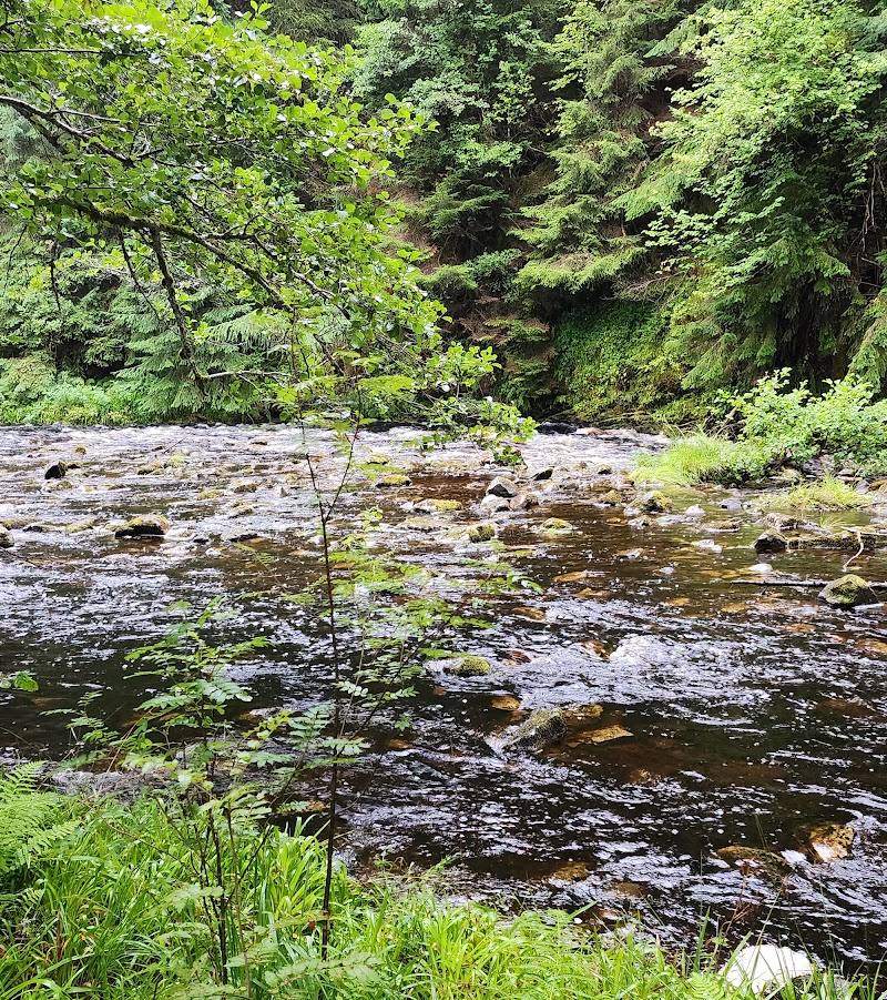 Plodda Falls