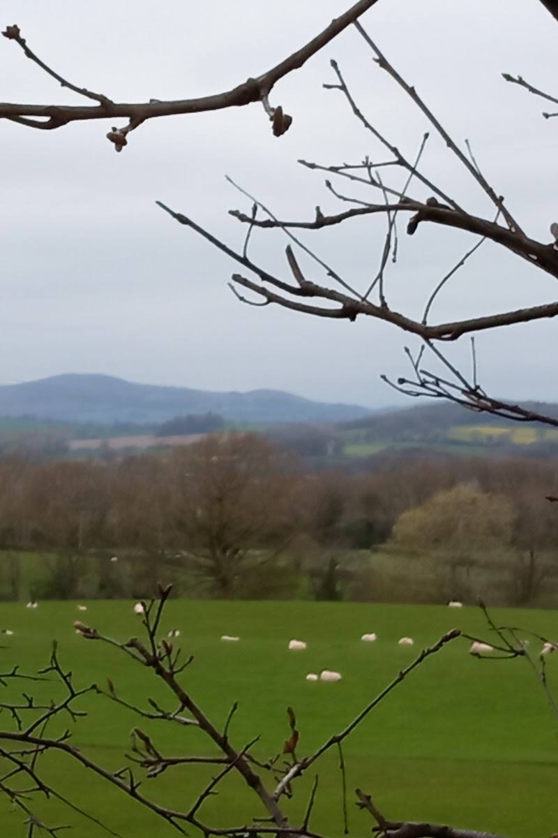 Earl’s and Pontesford Hill — Place photograph (2 of 3)