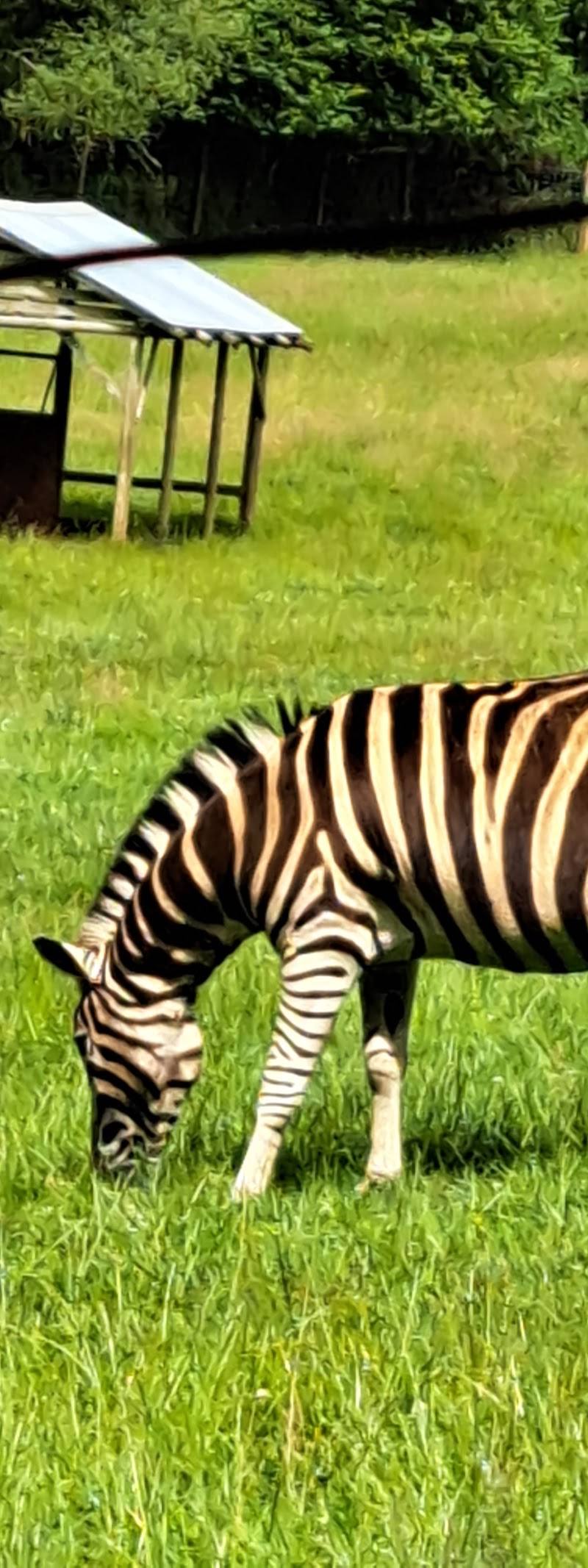 Porfell Wildlife Park & Sanctuary
