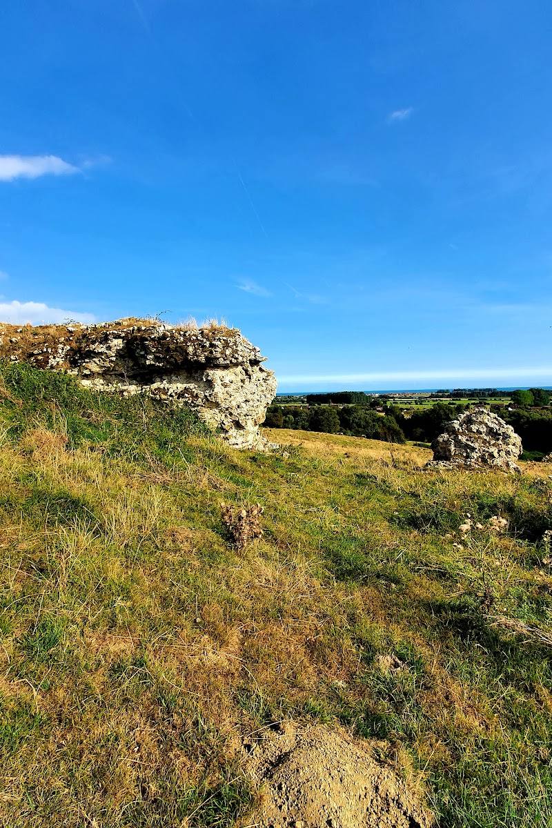 Portus Lemanis (Stutfall Castle) — Place photograph (2 of 3)