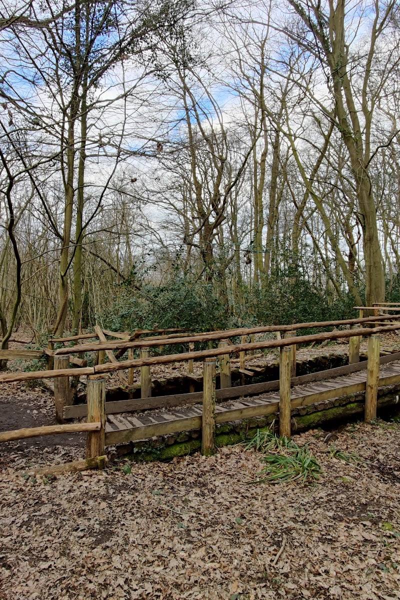 Pound Wood Nature Reserve