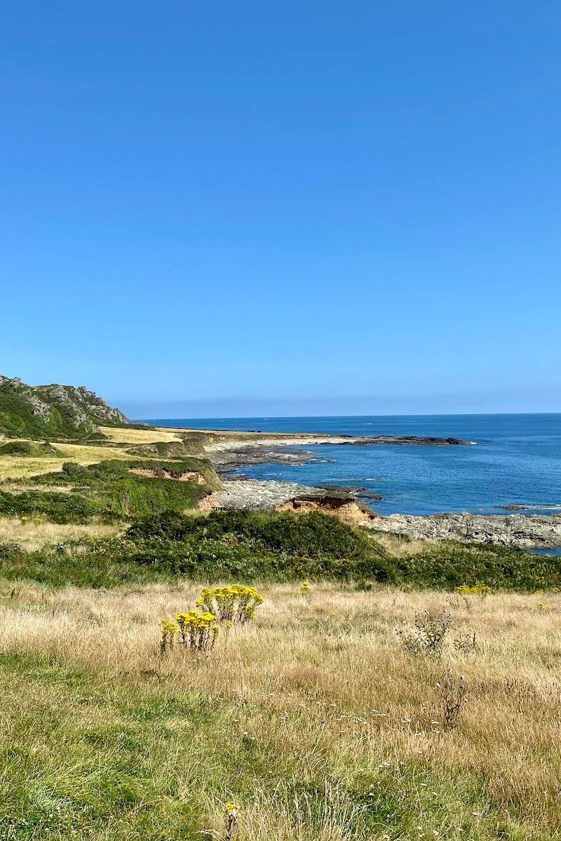 Prawle Point — Place photograph