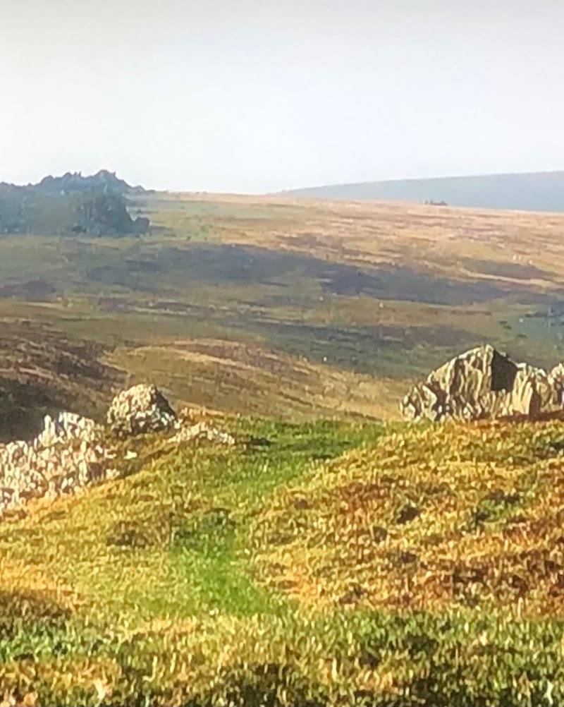 Preseli Hills — Place photograph