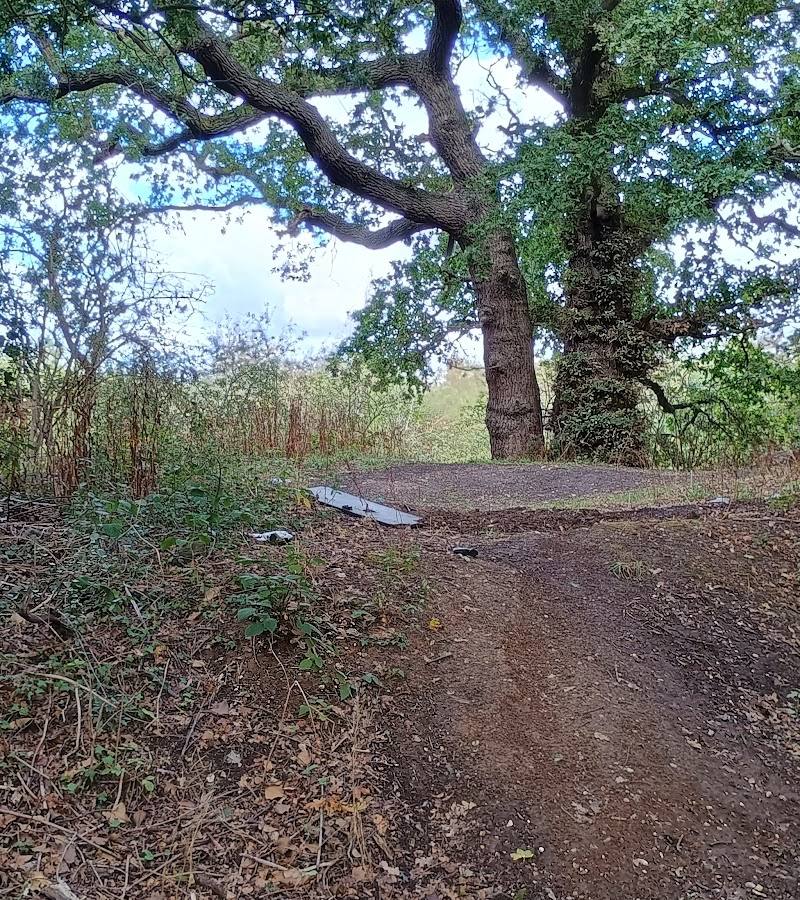 Prittlewell Camp (Hillfort) — Place photograph (1 of 3)