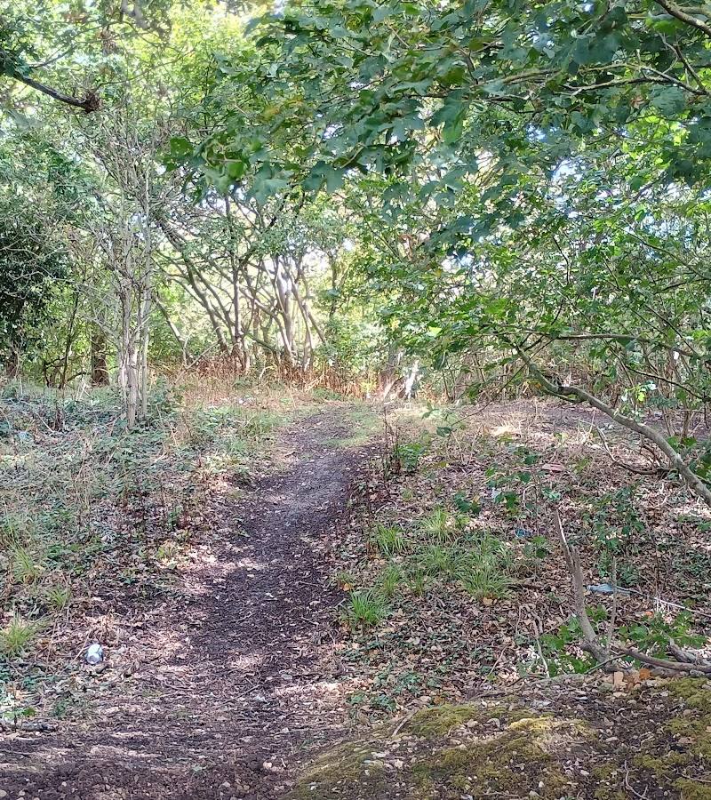 Prittlewell Camp (Hillfort) — Place photograph (2 of 3)