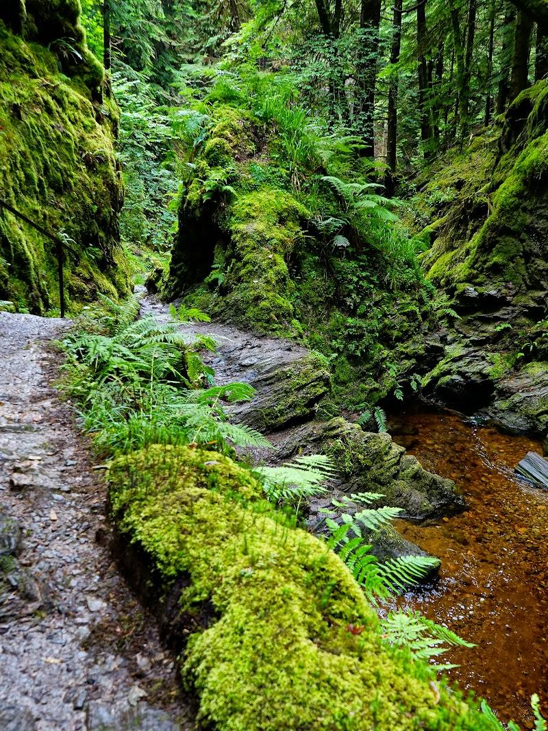Puck’s Glen — Place photograph