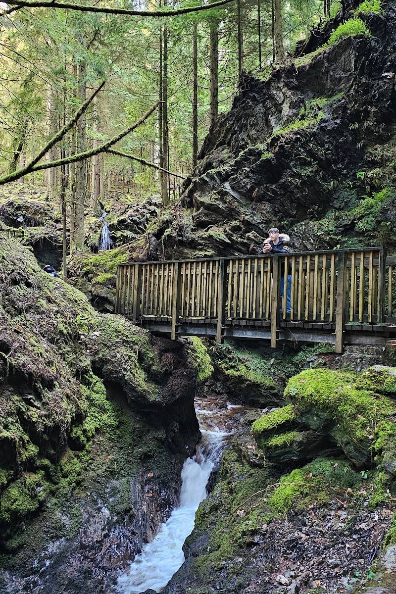 Puck's Glen
