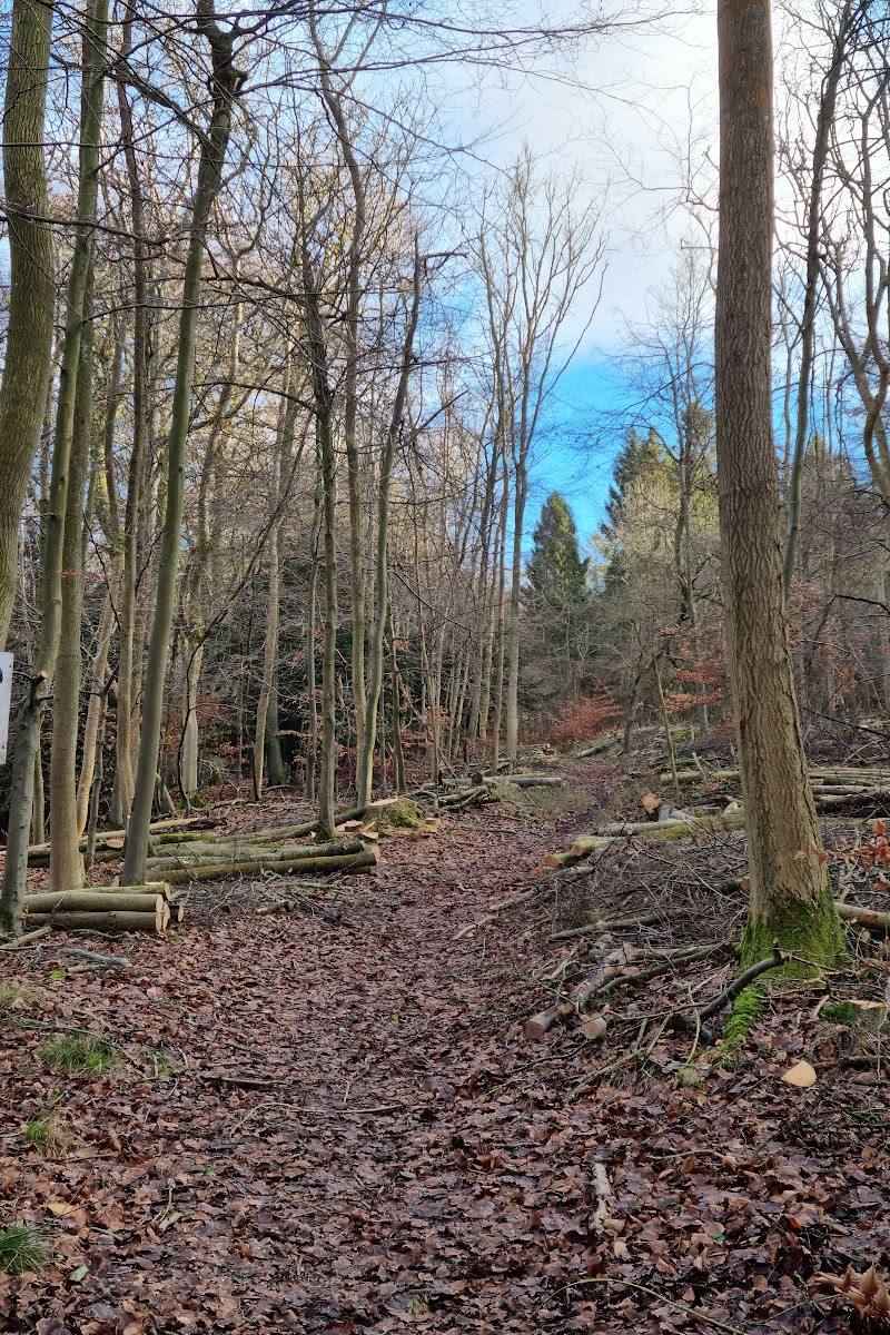 Pulpit Hill — Place photograph