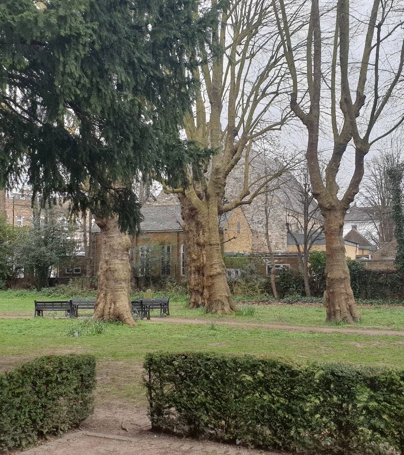 Putney Old Burial Ground — Place photograph (3 of 3)