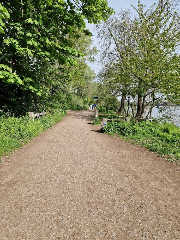 Putney Towpath — Source image