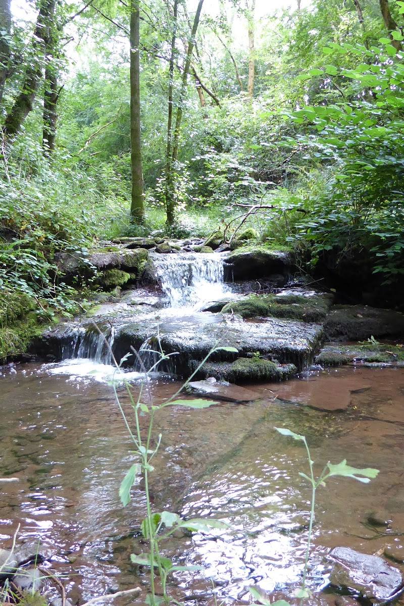 Pwll y Wrach Nature Reserve — Place photograph