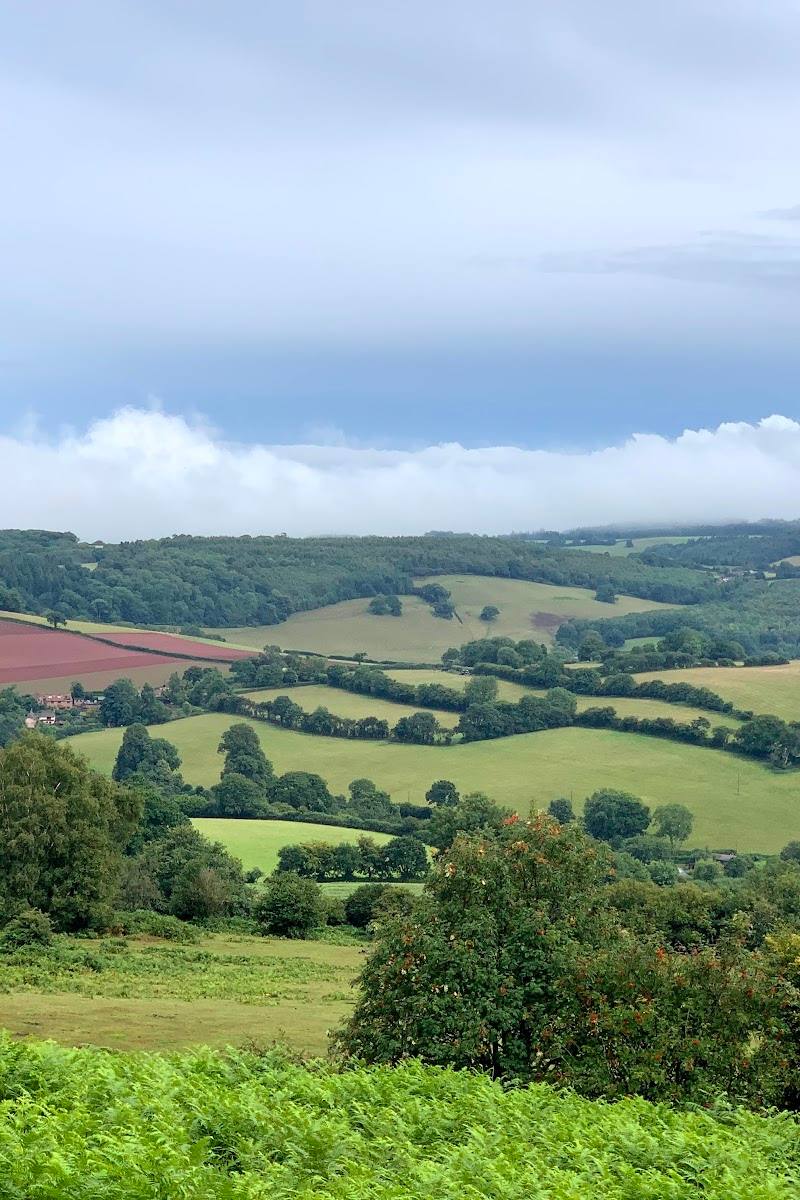 Quantock Hills — Place photograph