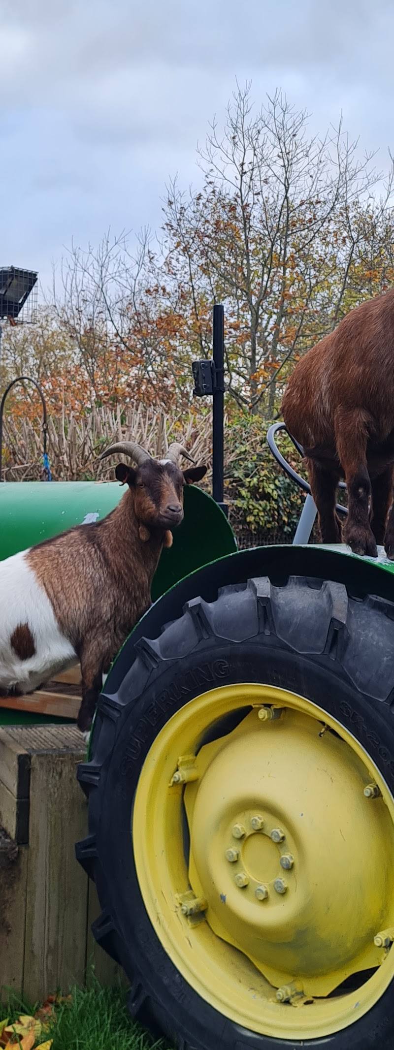 Queen's Park Children's Farm — Place photograph (3 of 3)