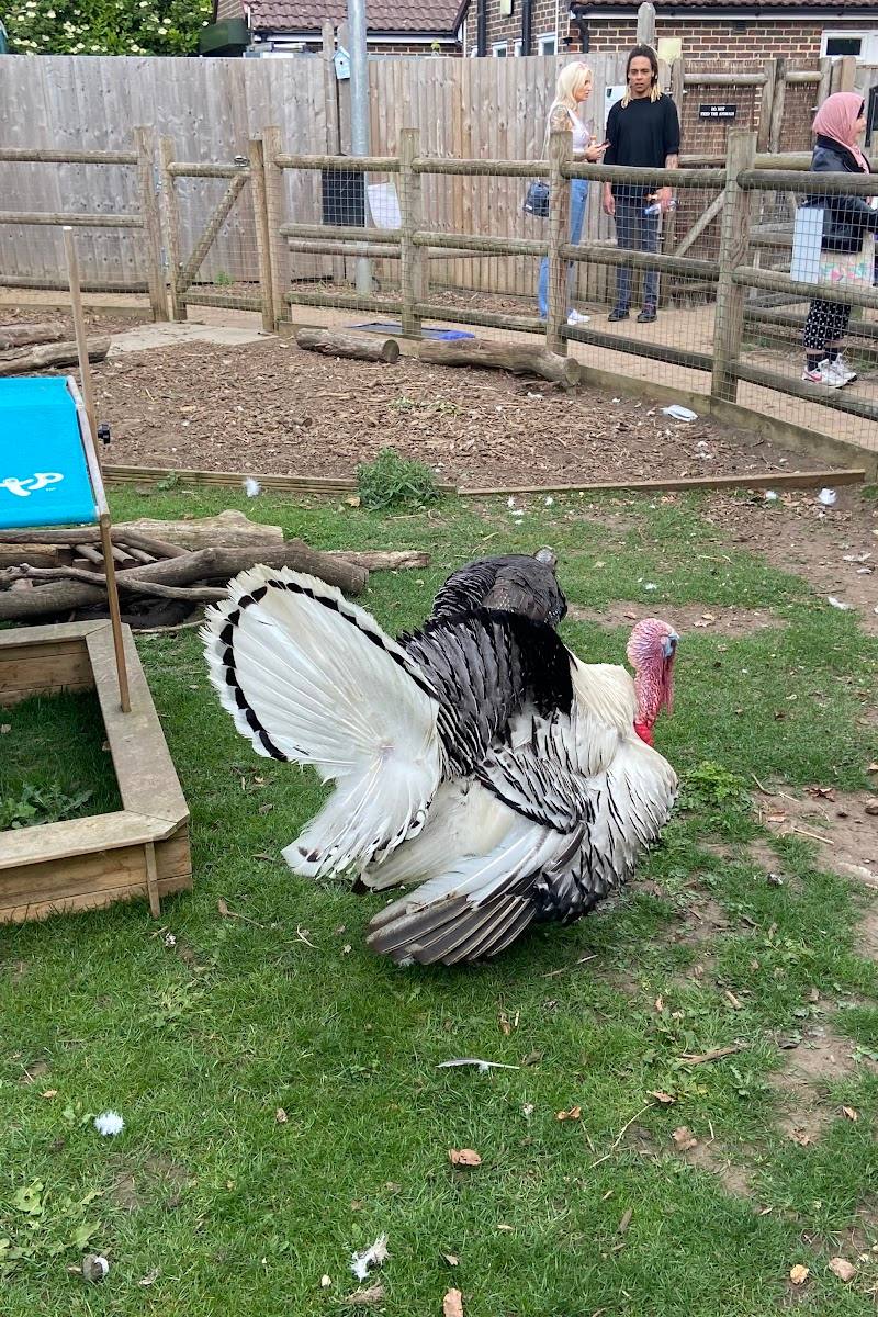 Queen's Park Children's Farm — Place photograph