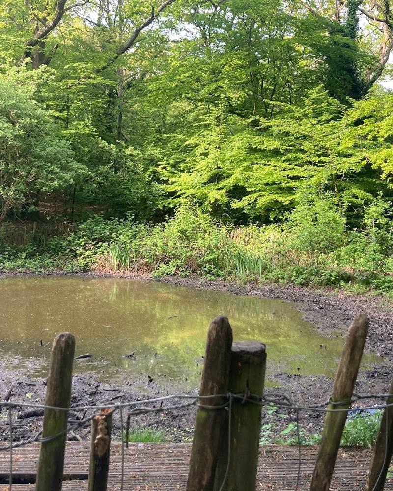 Queen's Wood Pond — Source image