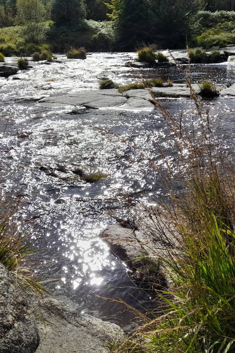 Raiders Road Otter Pools