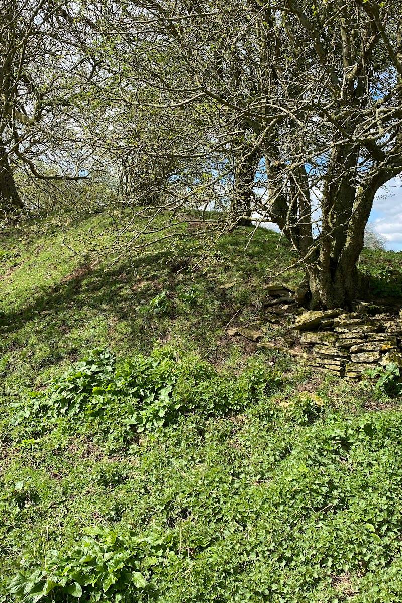 Rainsborough Hill Fort