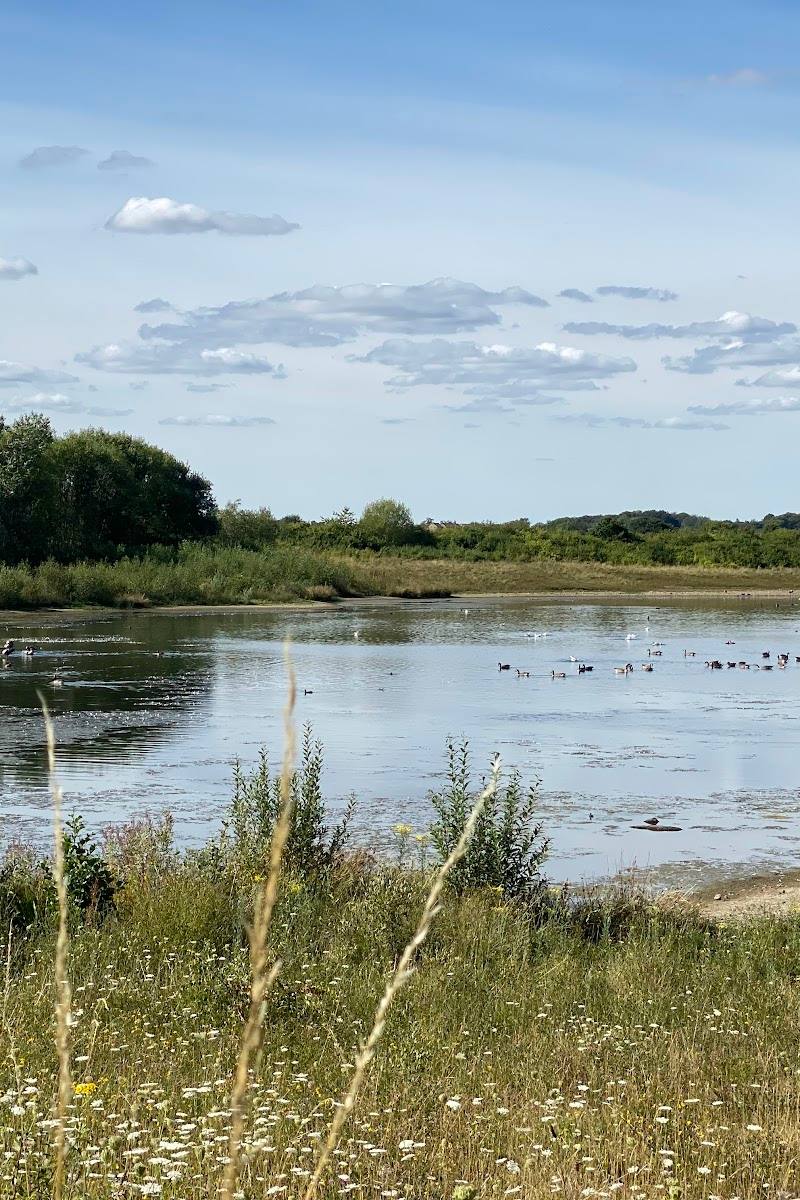 Rainton Meadows Nature Reserve