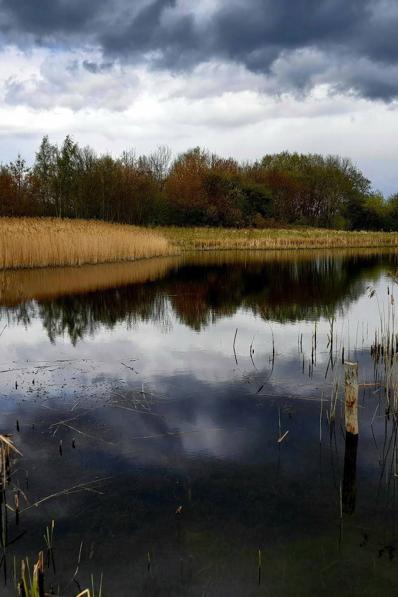 Rainton Meadows Nature Reserve — Place photograph