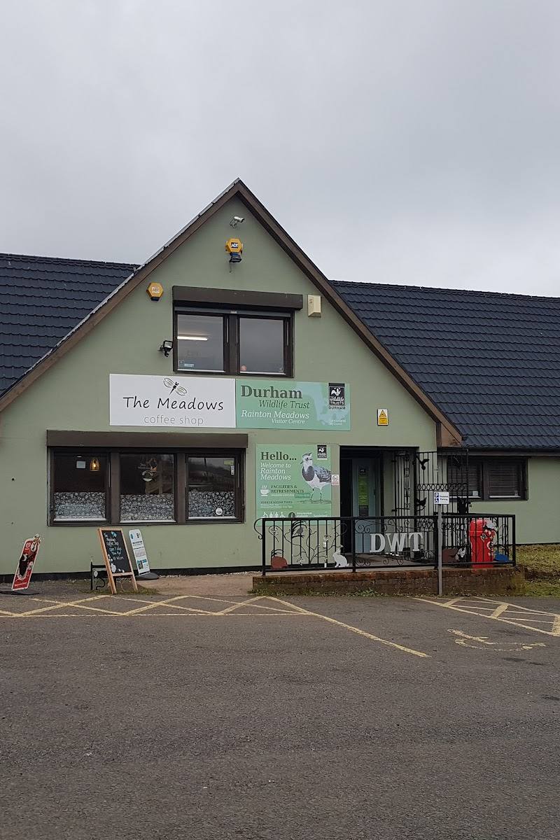 Rainton Meadows Nature Reserve