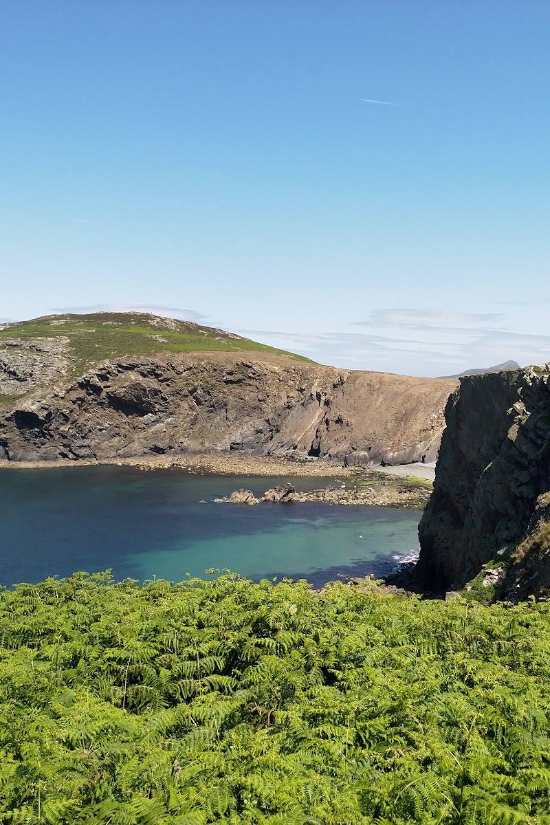 Ramsey Island — Place photograph