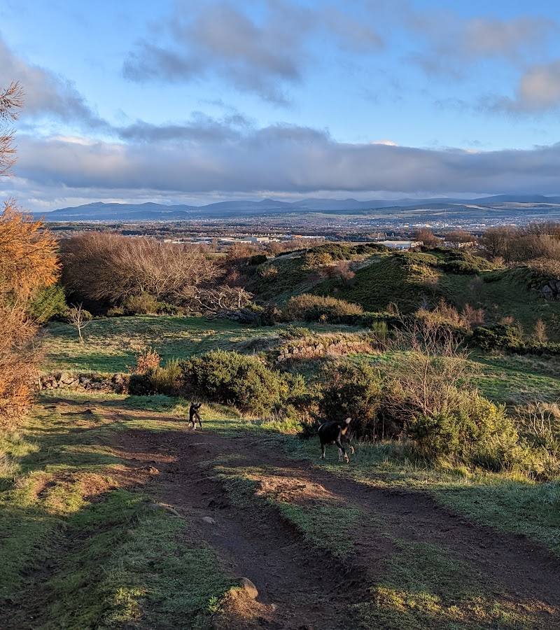 Ravencraig Woodland — Place photograph