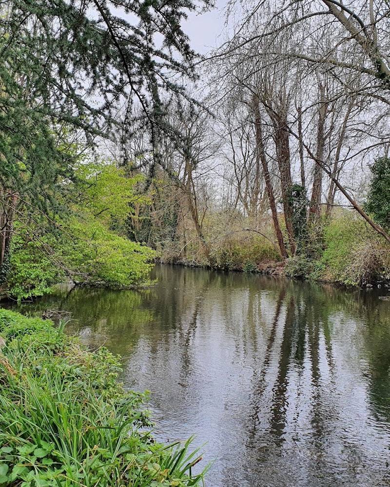 Ravensbury Park — Source image