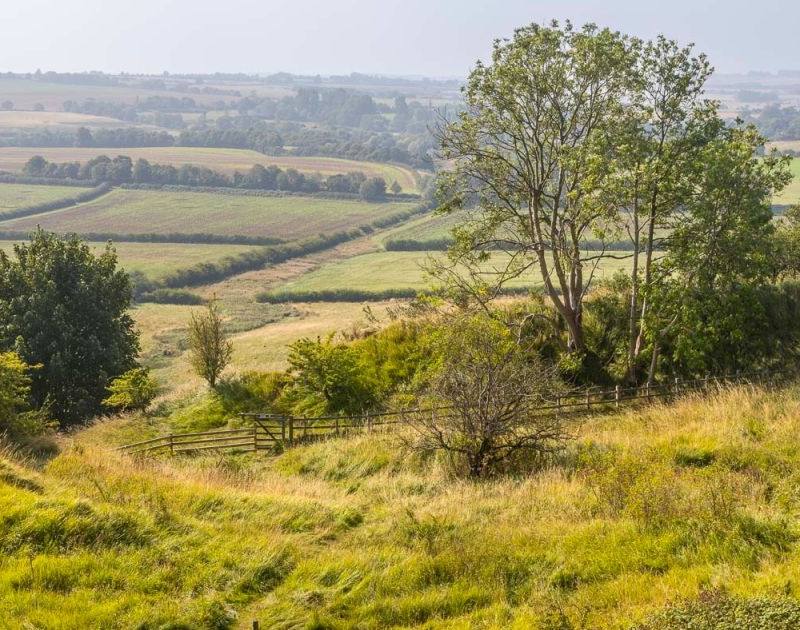 Red Hill Nature Reserve — Place photograph