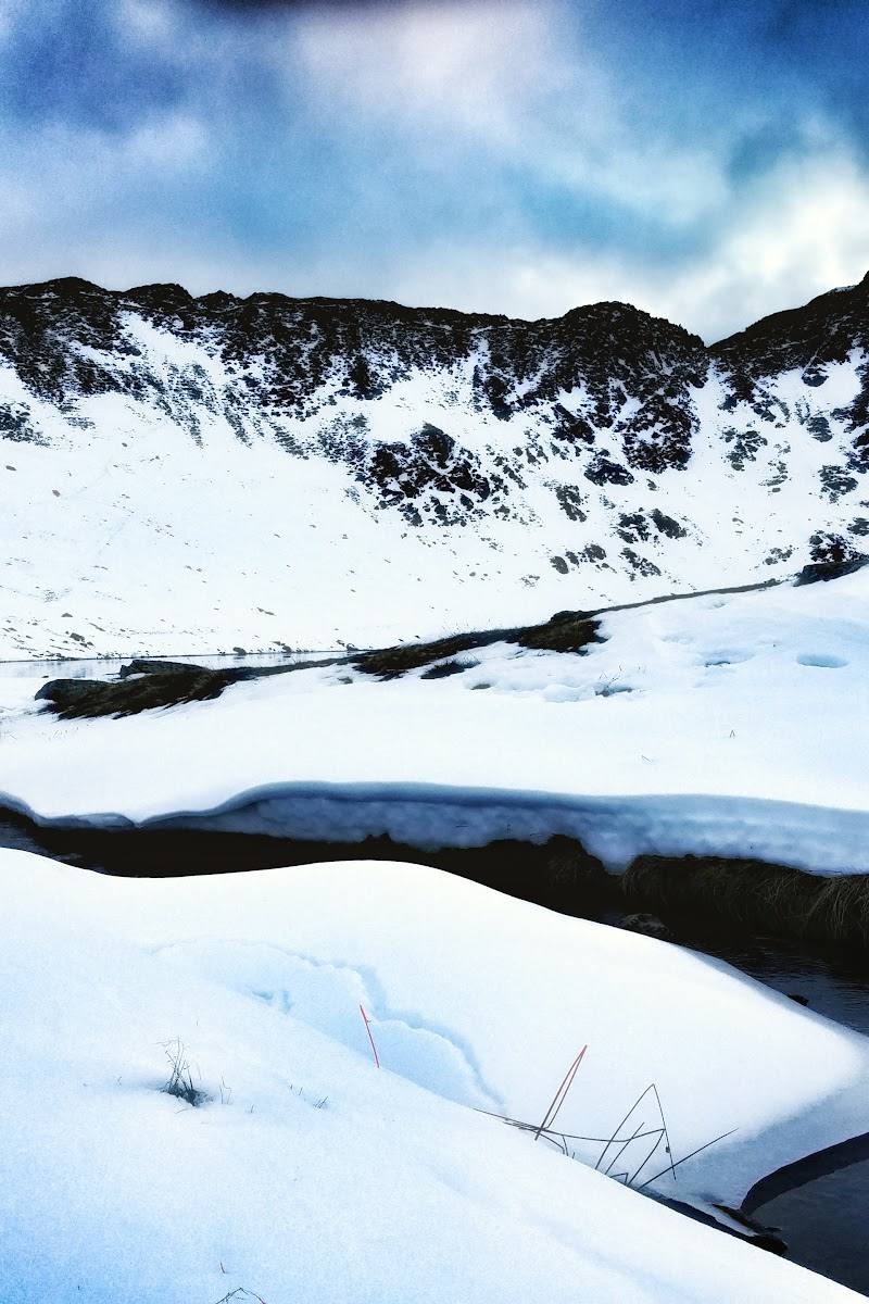 Red Tarn