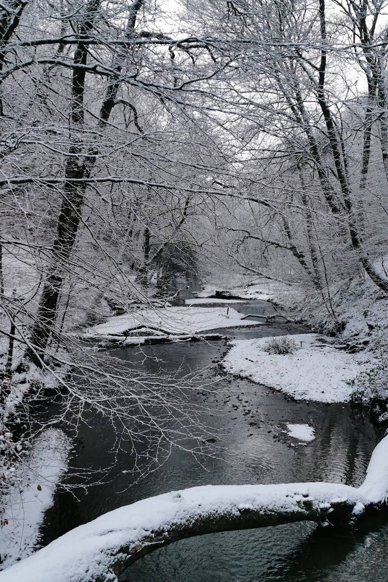 Redisher Wood — Place photograph