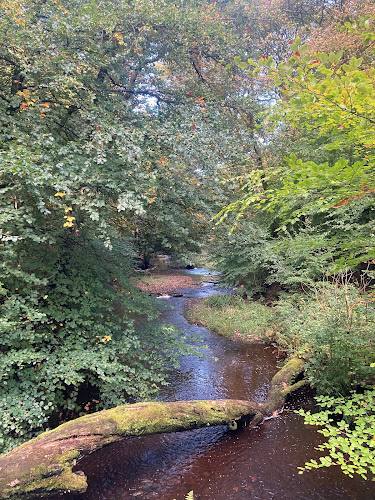 Redisher Woods — Source image