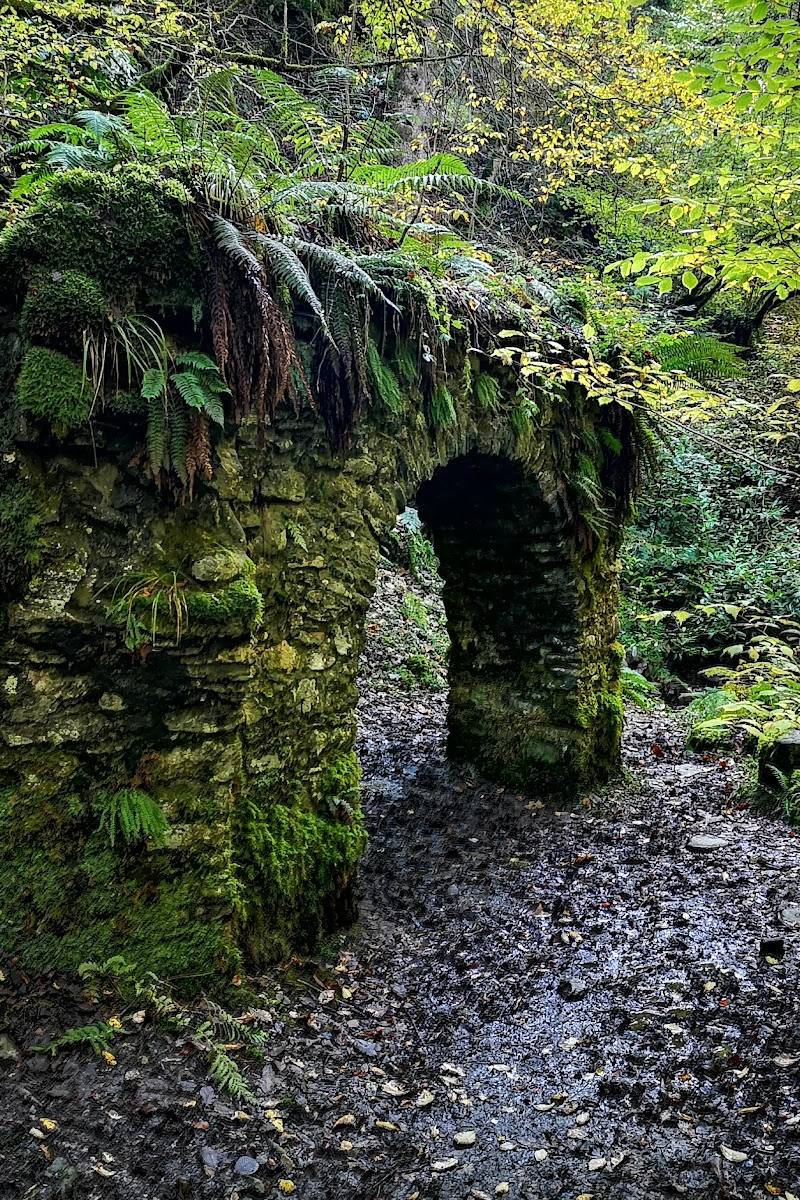 Reelig Glen