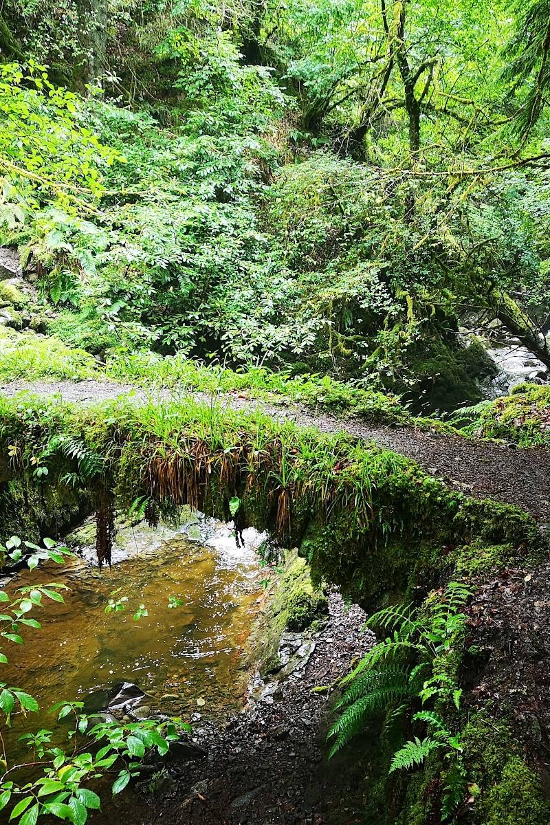 Reelig Glen