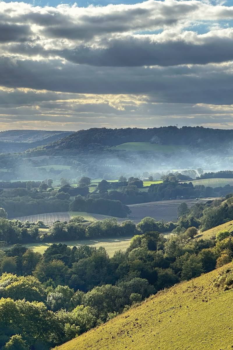 Reigate Hill Viewpoint — Place photograph