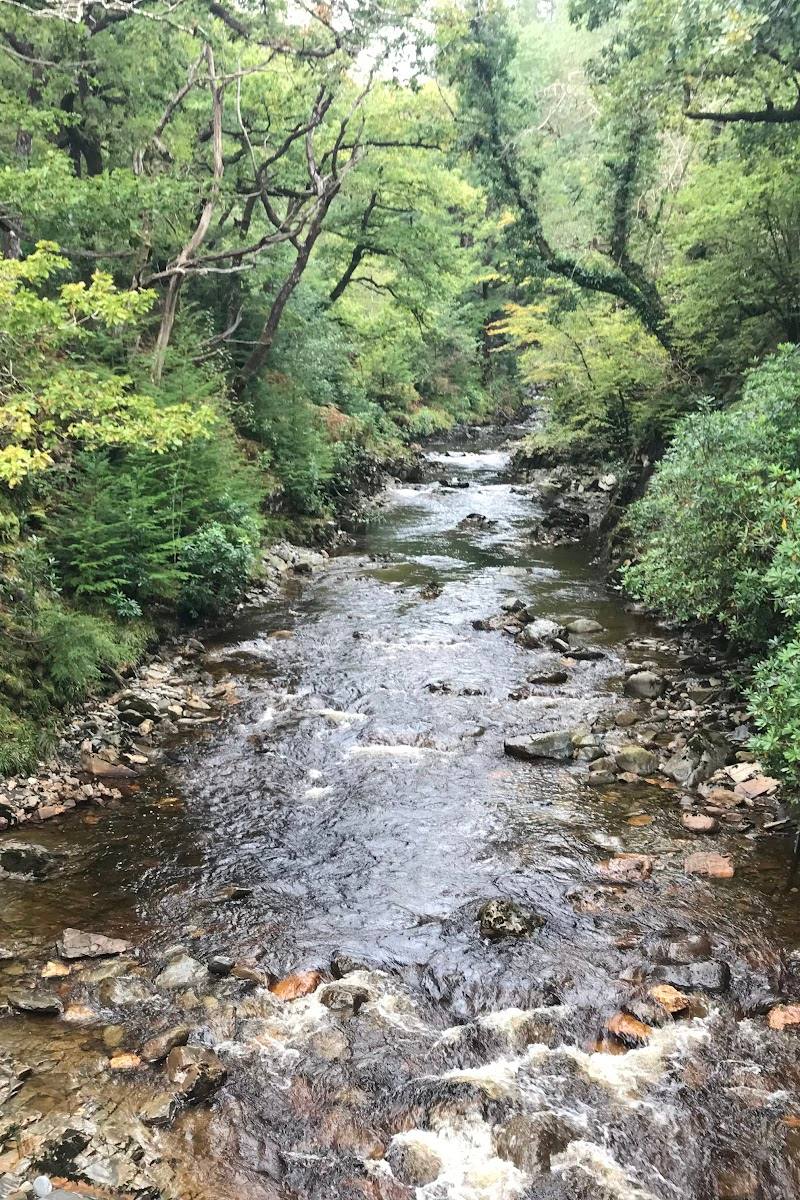 Rhaeadr Mawddach Waterfall — Place photograph (2 of 3)