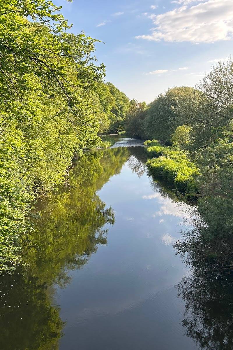 River Otter Beaver Walk, Otterton — Place photograph