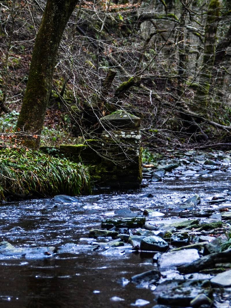 Roddlesworth Waterfall — Place photograph (2 of 3)