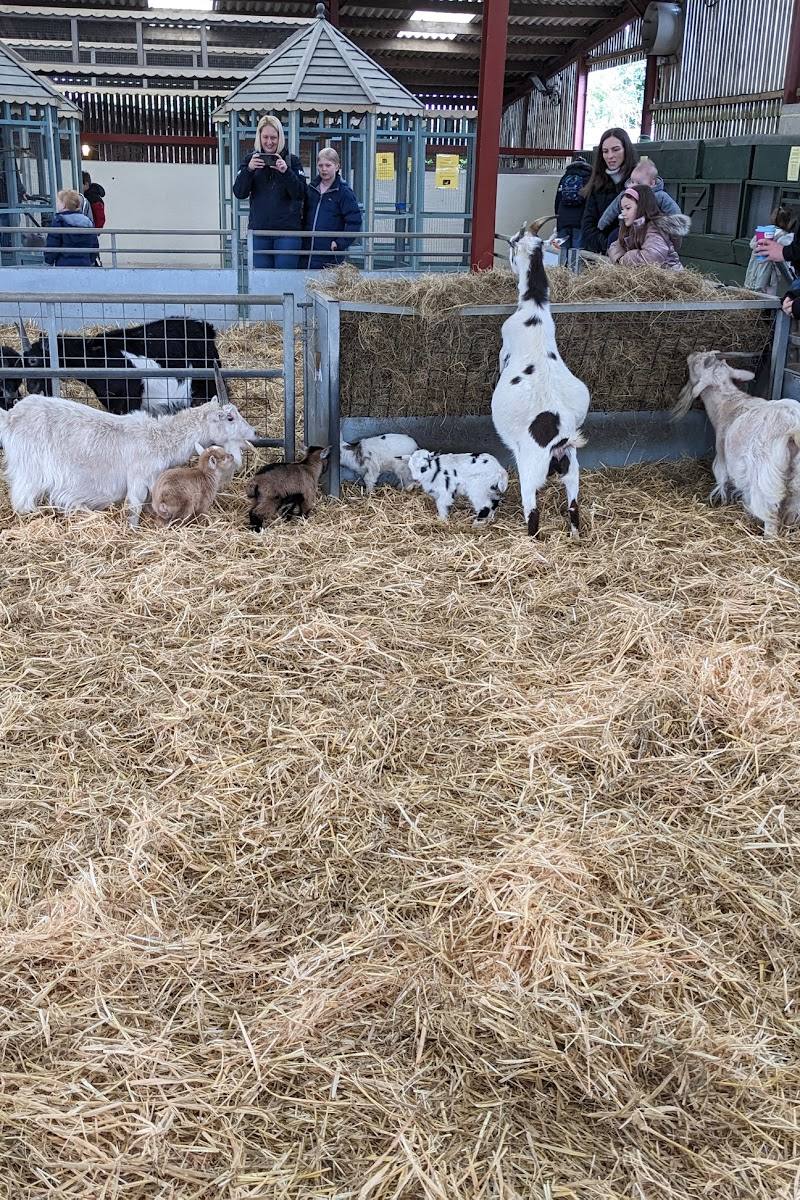 Rookery Open Farm — Place photograph