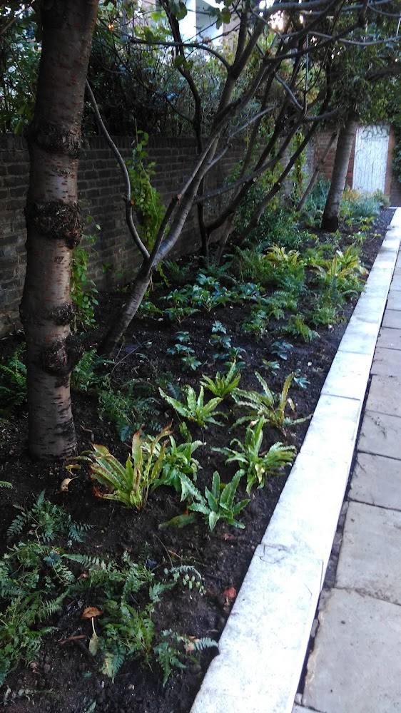 Roper’s Gardens