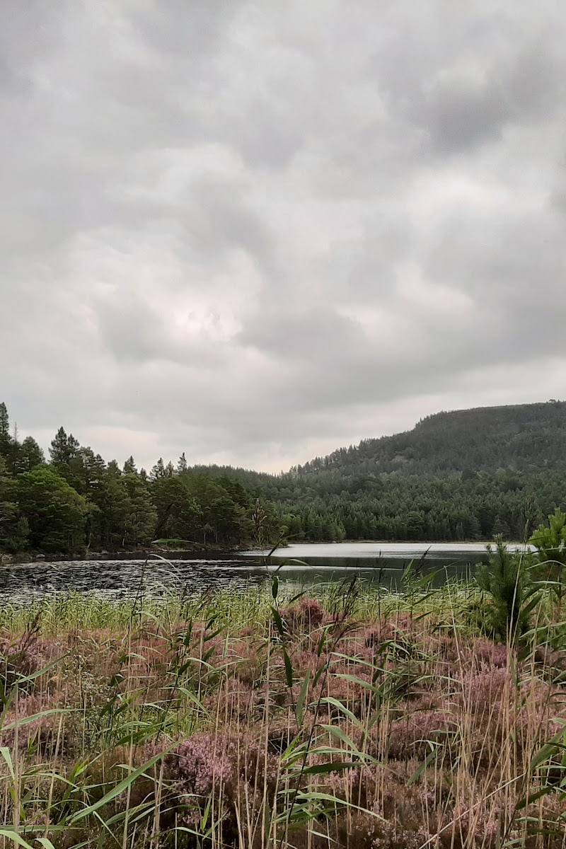 Rothiemurchus