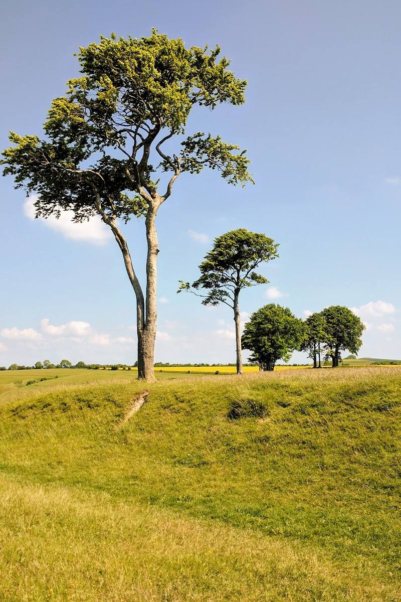Roundway Down Iron Age Hill Fort — Place photograph
