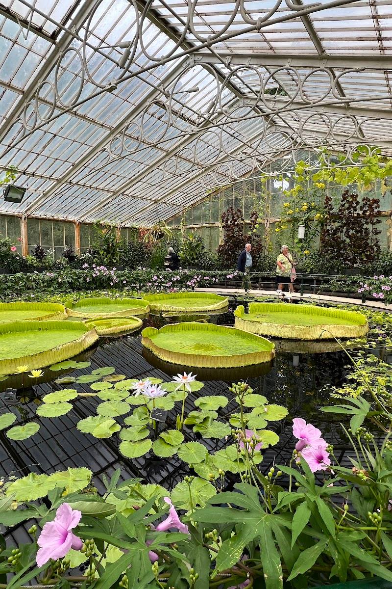 Royal Botanic Gardens, Kew