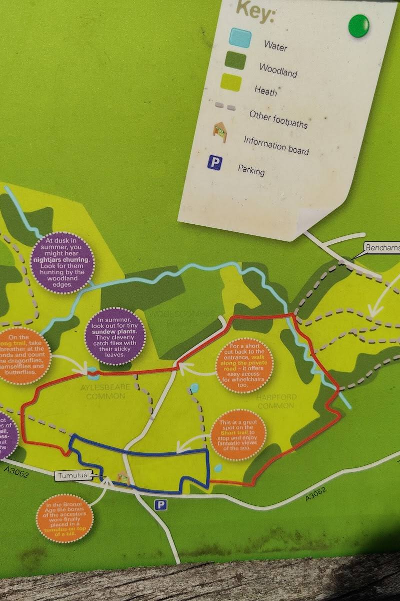 RSPB Aylesbeare Common — Place photograph