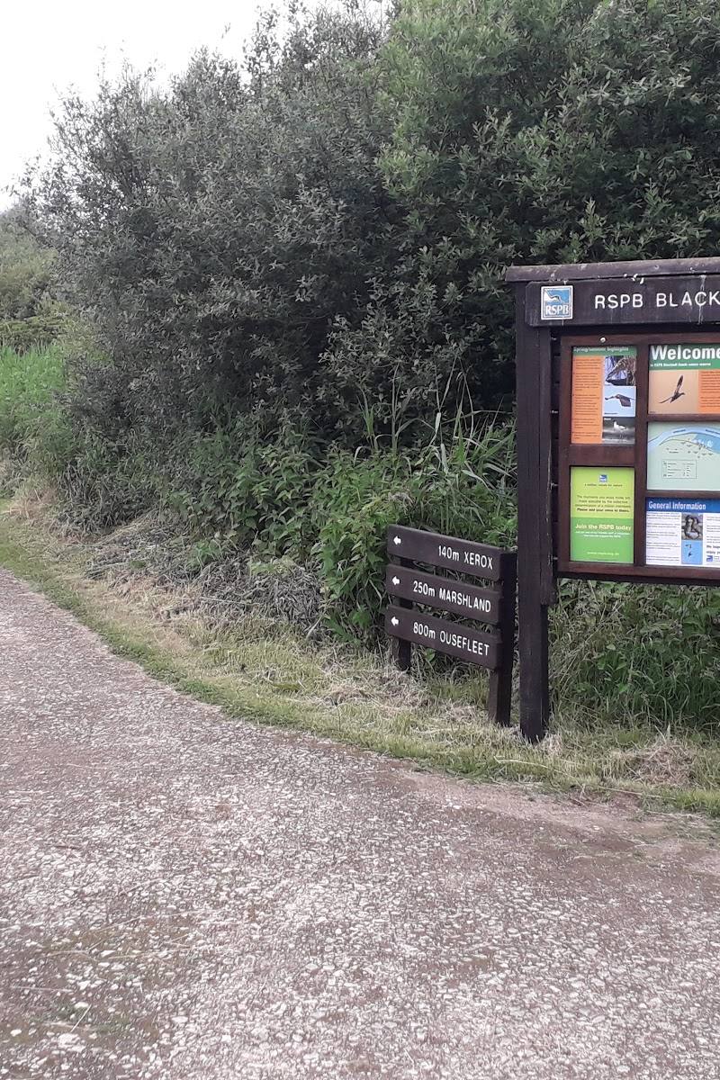 RSPB Blacktoft Sands