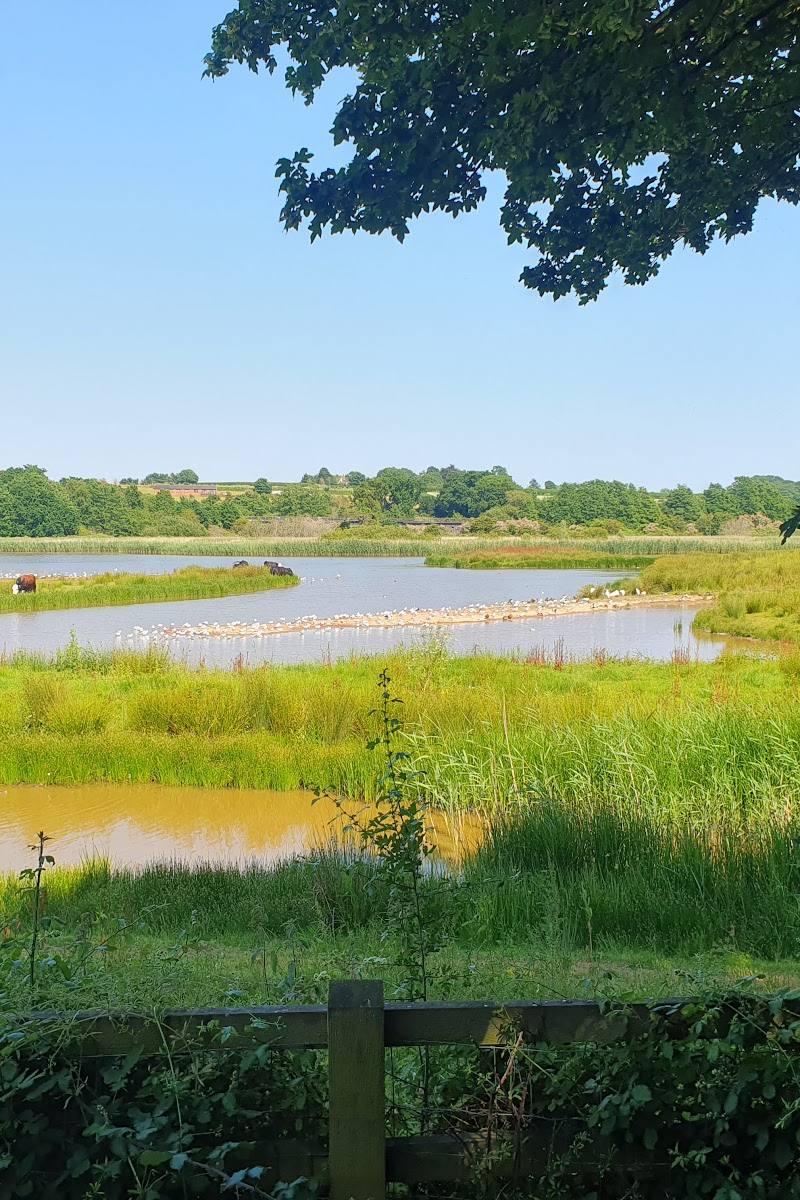 RSPB Bowling Green Marsh — Place photograph