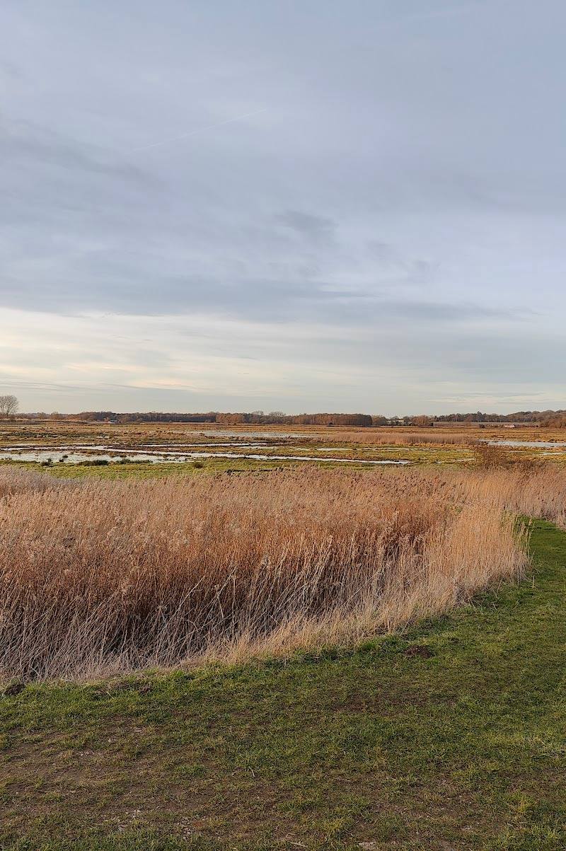 RSPB Buckenham and Cantley Marshes — Place photograph (2 of 3)