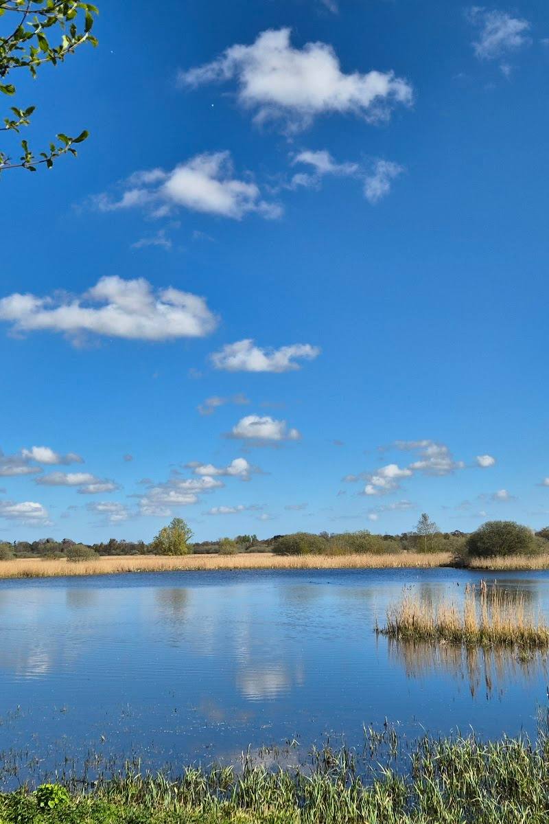 RSPB Buckenham and Cantley Marshes — Place photograph