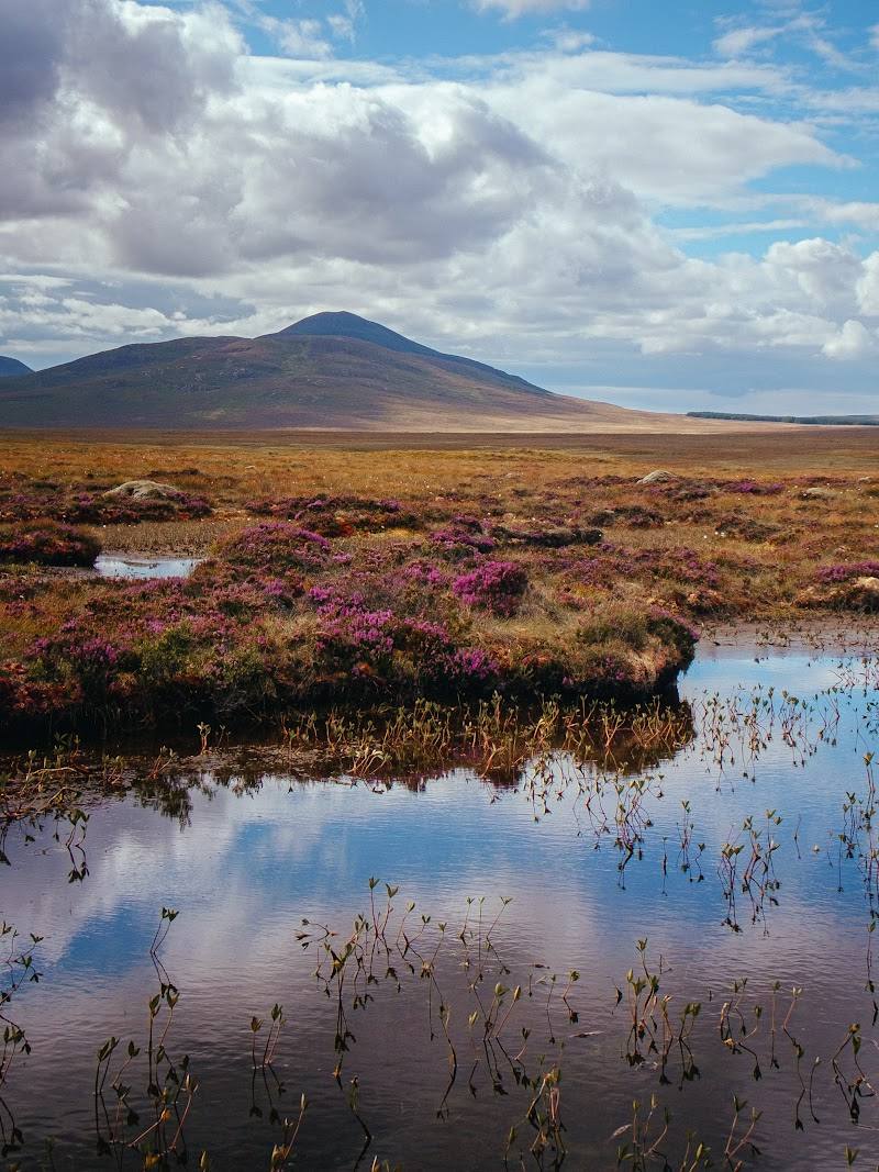 RSPB Forsinard Flows — Place photograph