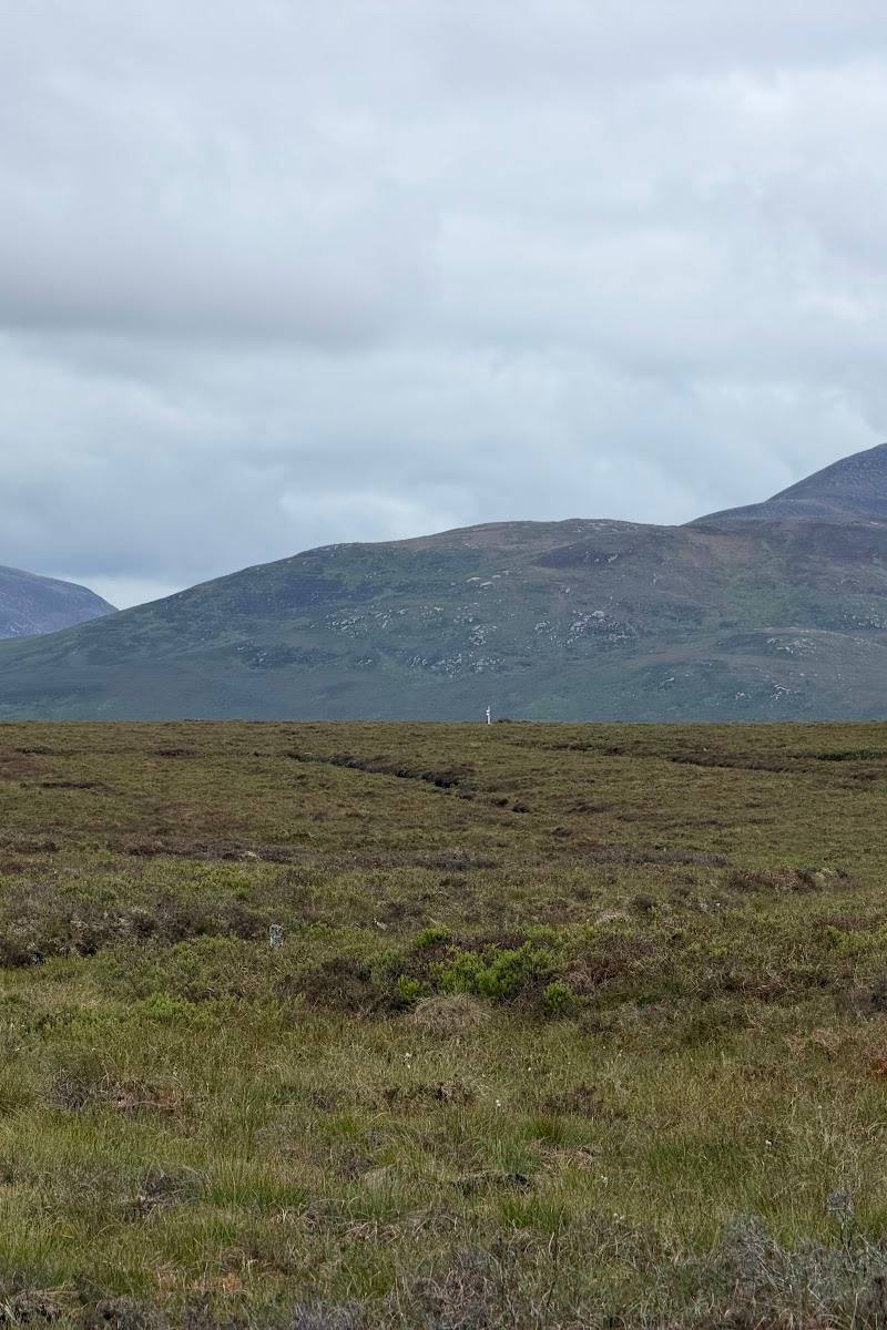 RSPB Forsinard Flows