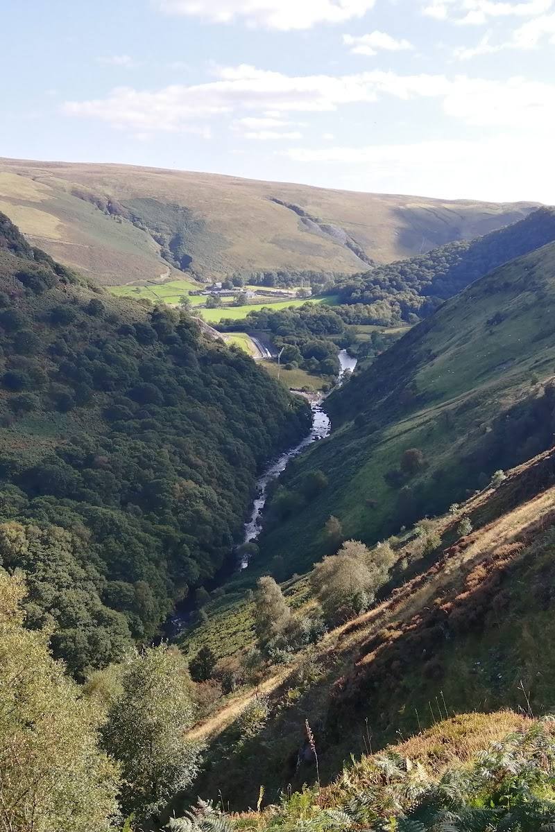 RSPB Gwenffrwd-dinas — Place photograph